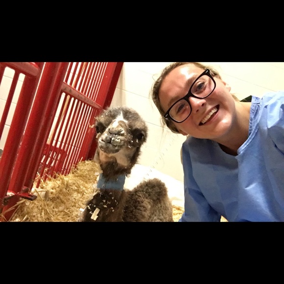 Meet your Posher, Holly - Picture 4 of 6